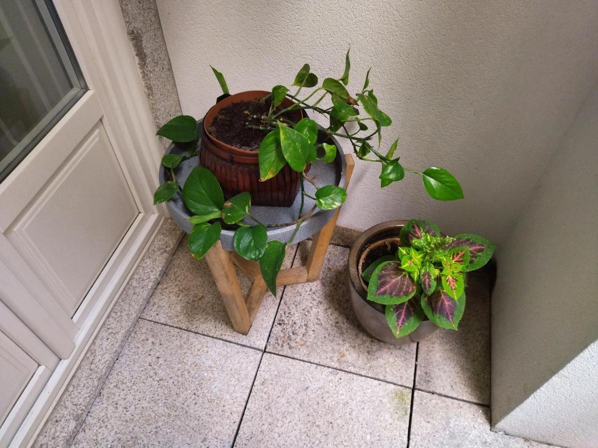 Santa Catarina Patio Apartment - With Washer Machine ポルト エクステリア 写真